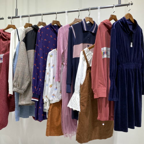 【太平鳥(niǎo)20冬 品牌折扣女裝批發(fā) 直播貨源庫(kù)存尾貨走份】- 